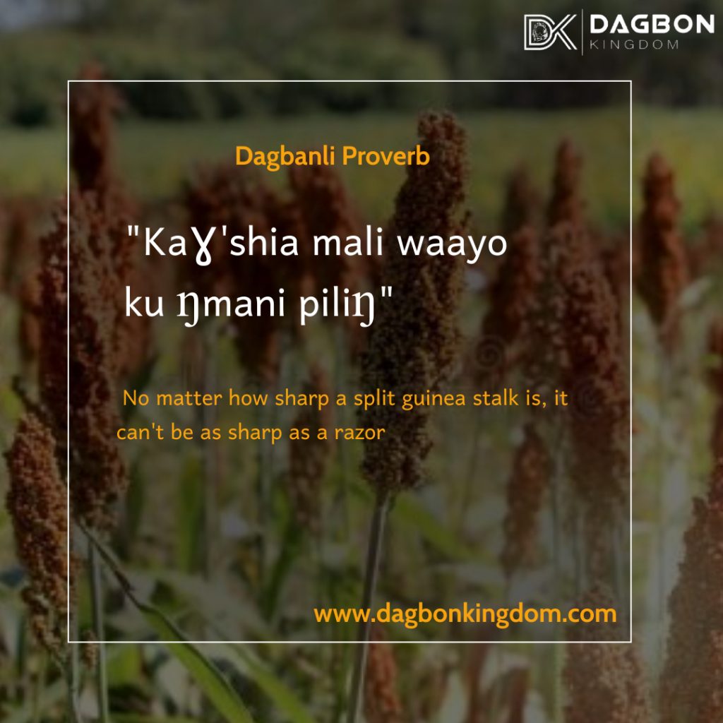 Dagbani Proverbs - Dagomba Proverbs - Dagbonkingdom.com 3