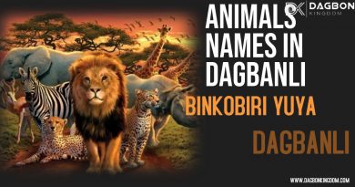 Names of Animals in Dagbani Language