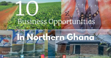 Top 10 Top Business Opportunities In Northern Ghana