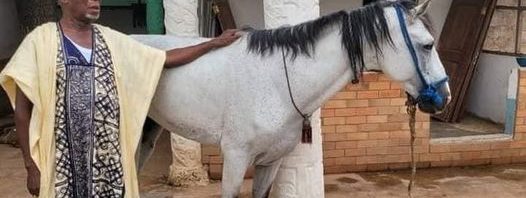 Yoo Naa gifts Buipewura Jinapor a horse