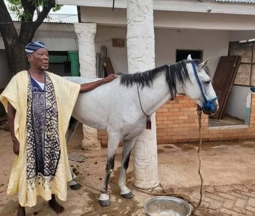 Yoo Naa gifts Buipewura Jinapor a horse