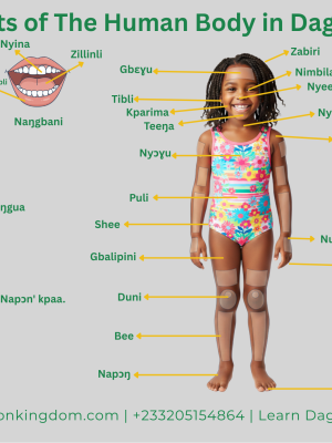 Parts of The Human Body Poster In Dagbani